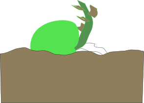 [Thumbnail for choko_horizontal.png]