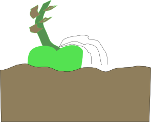 [Thumbnail for choko_vertical.png]