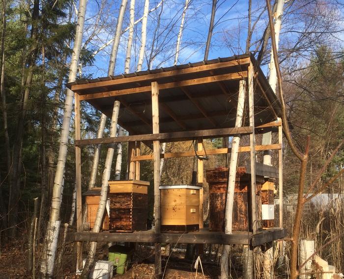 bee hut is 30 off the ground