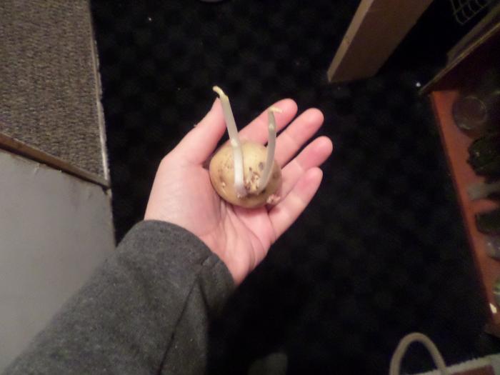 Mr. Lofthouse says I can still eat this. Well, alrighty then!