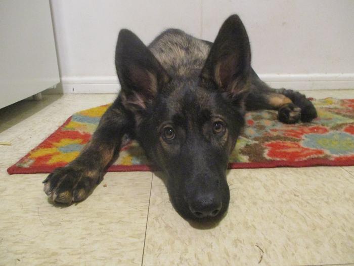 [Thumbnail for bun4.jpg]