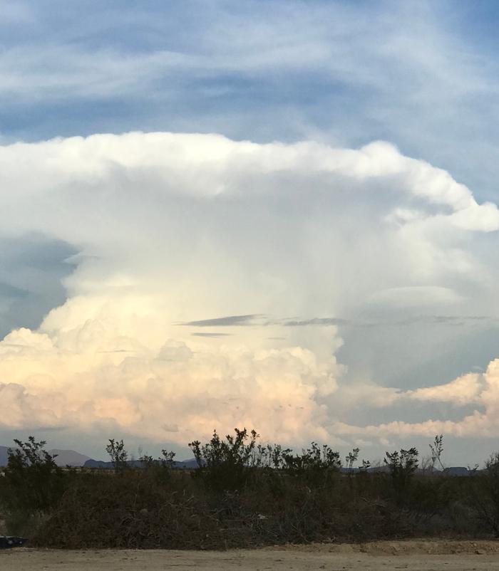 [Thumbnail for thunderhead.jpg]