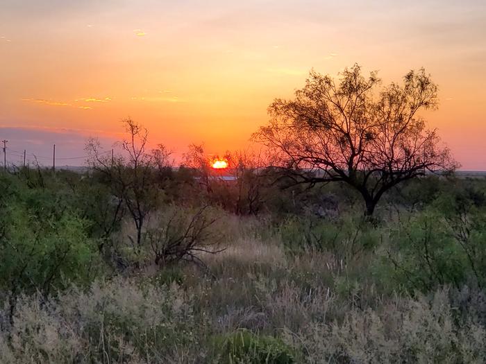 [Thumbnail for 20190816_071639.jpg]