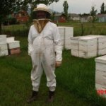 [Thumbnail for beekeeping.jpg]