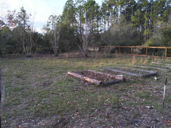 big rectangle about 30' by 50' with a diagonal row of trees