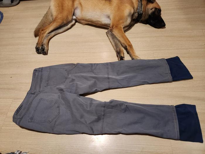 pants with dog for scale