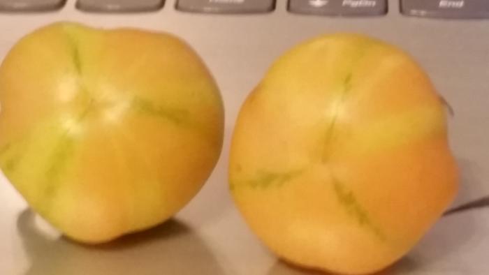 pretty tomatoes