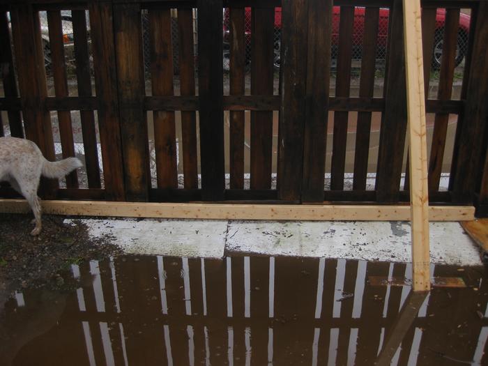 water level