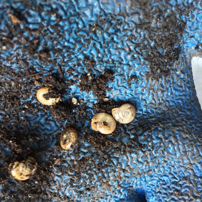 [Thumbnail for IMG_8286.JPG]