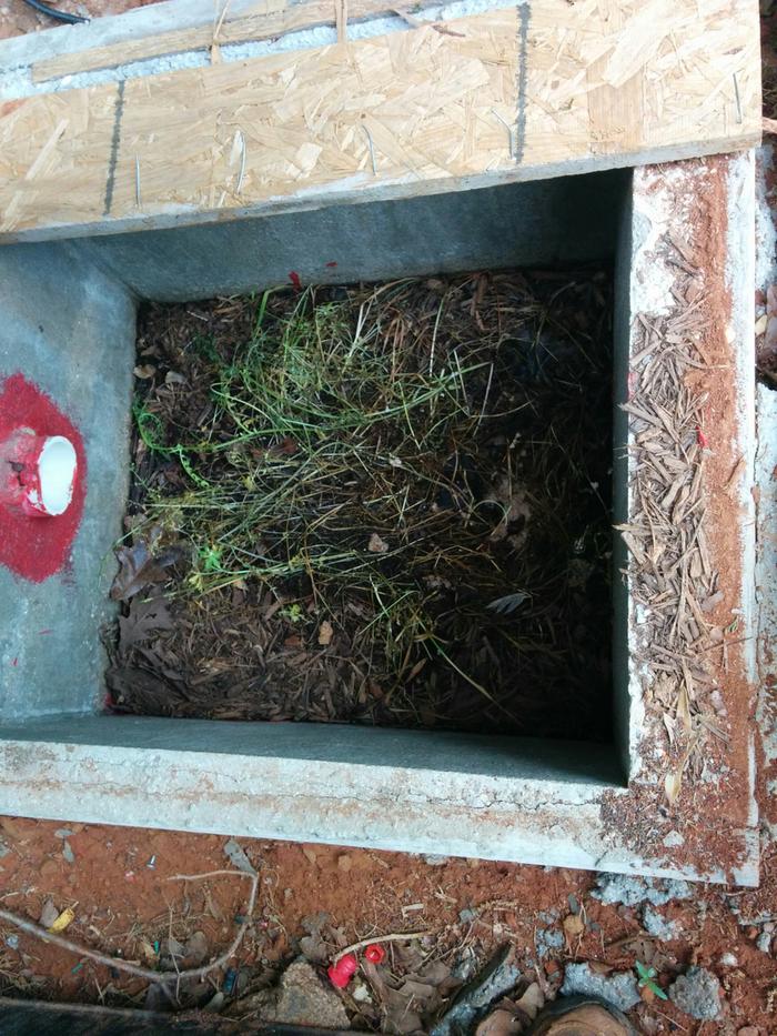 Poo filter worm tank