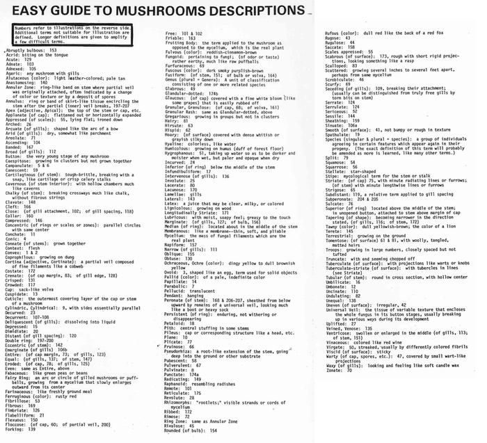 [Thumbnail for Mushroom-Identification-Chart-Terms.jpg]