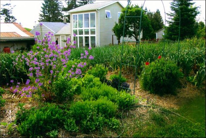 [Thumbnail for image001.jpg]