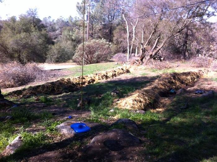 [Thumbnail for 1798128_809942295685612_1239223936_n.jpg]