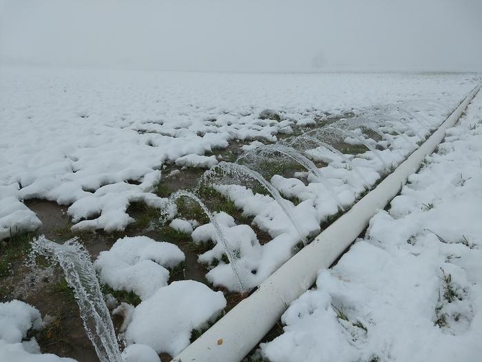 Irrigating in the snow (nov '17)