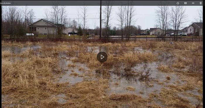 [Thumbnail for standing-water.JPG]