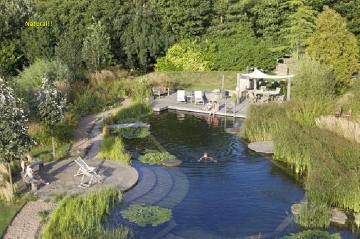 beautiful natural swimming pond