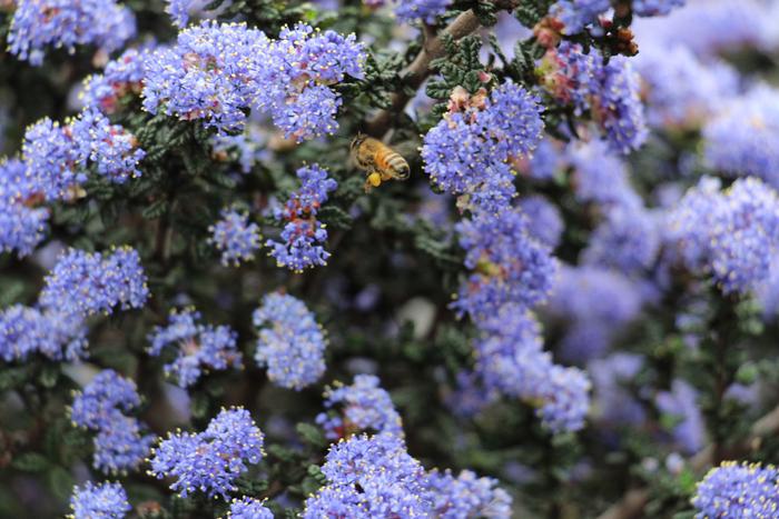 [Thumbnail for IMG_4470.JPG]