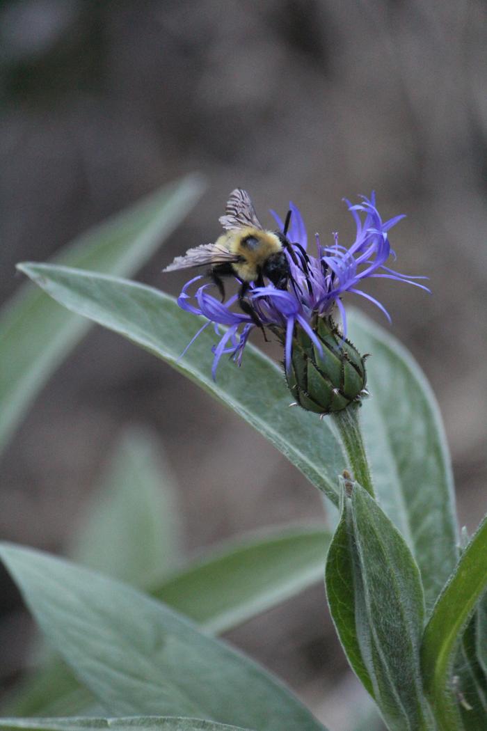 [Thumbnail for IMG_2020.JPG]