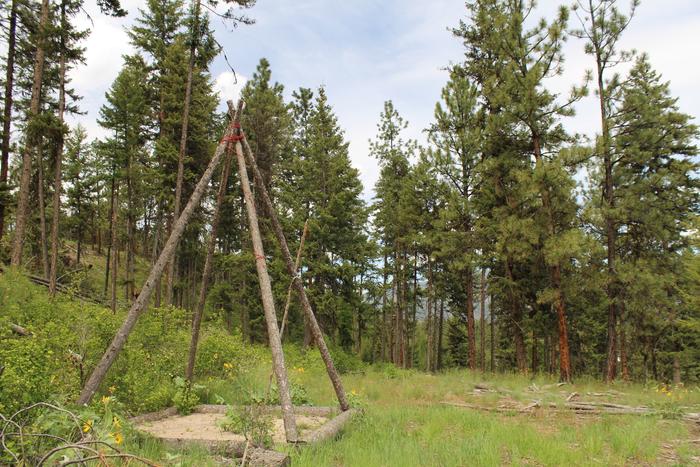 [Thumbnail for tent-site-tipi-DIY-camping-montana-permaculture.JPG]