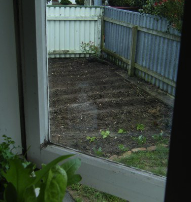 [Thumbnail for garden.jpg]