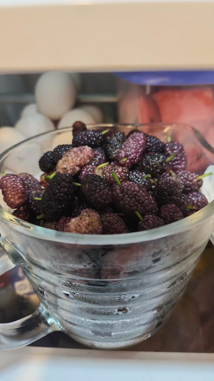 [Thumbnail for mulberries.jpeg]