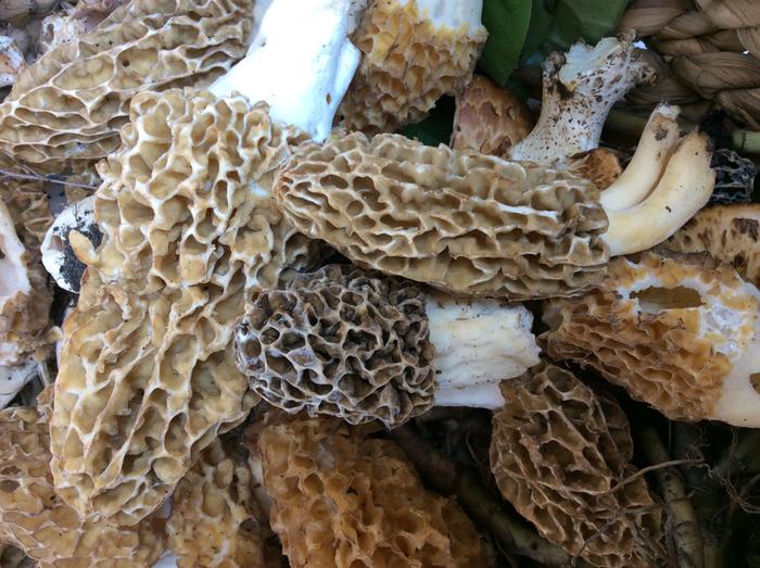 [Thumbnail for image.jpeg]