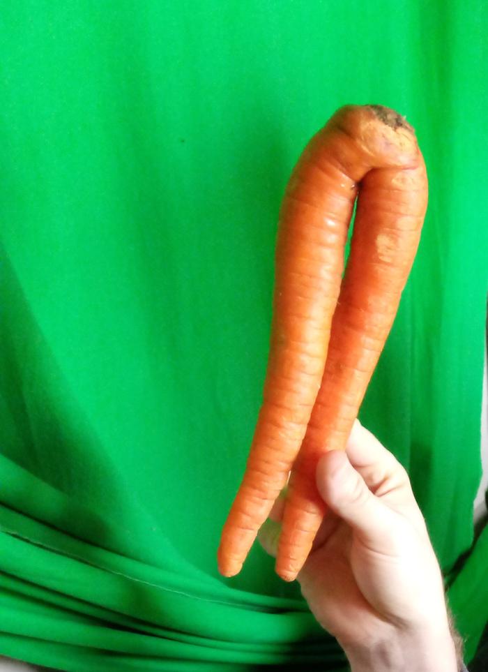 (Yes, it is a real carrot. Yes, I found it that way. And, yes, I am easily entertained.)