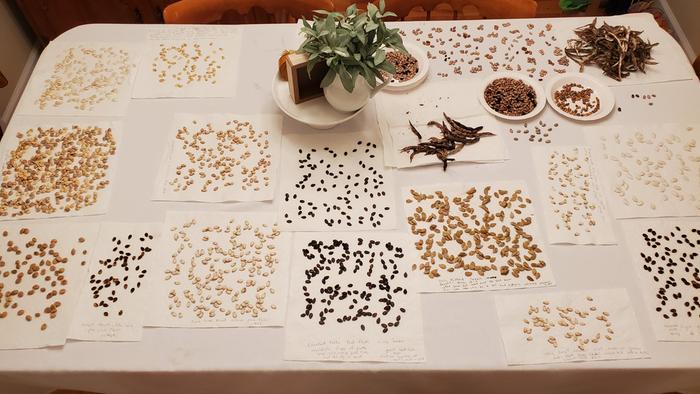 Seed saving table