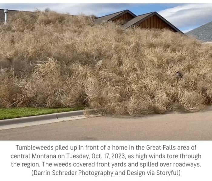 Tumbleweeds 