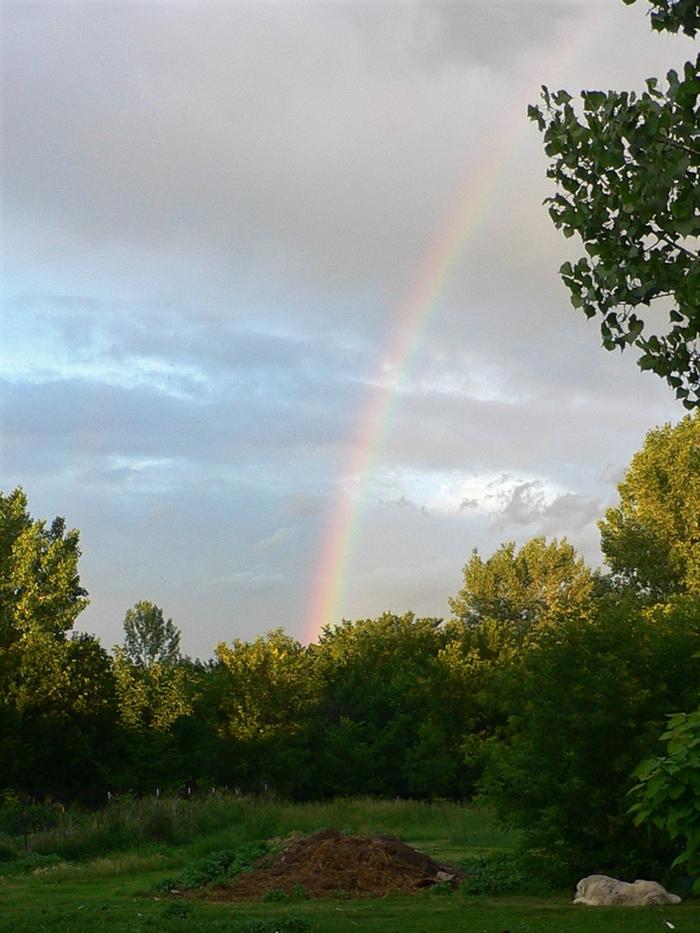 ...your pot o' gold is really a pile o' dung!