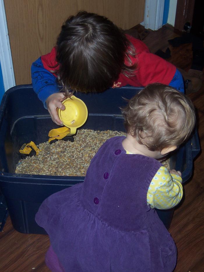 if your kids' Sensory Bin in a bin of duck food!