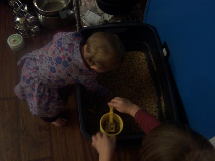 a bin of duck food