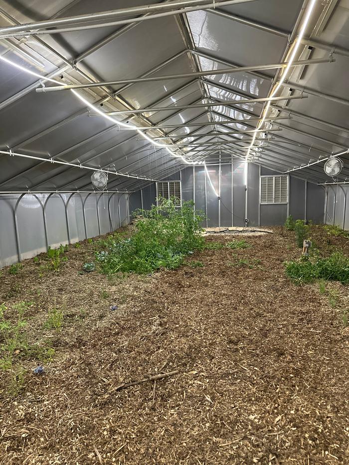 Waterfall is hiding behind the Tomatoes