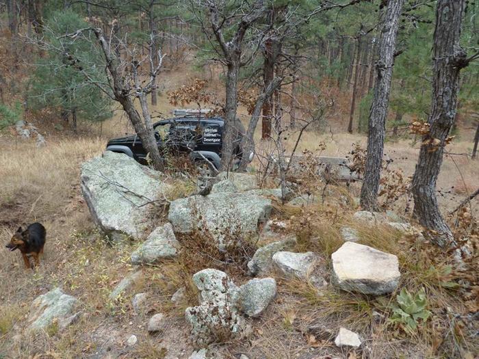 [Thumbnail for Moss-rock-natural-setting-Crestone-Canyon-Jeep-Lilly.JPG]