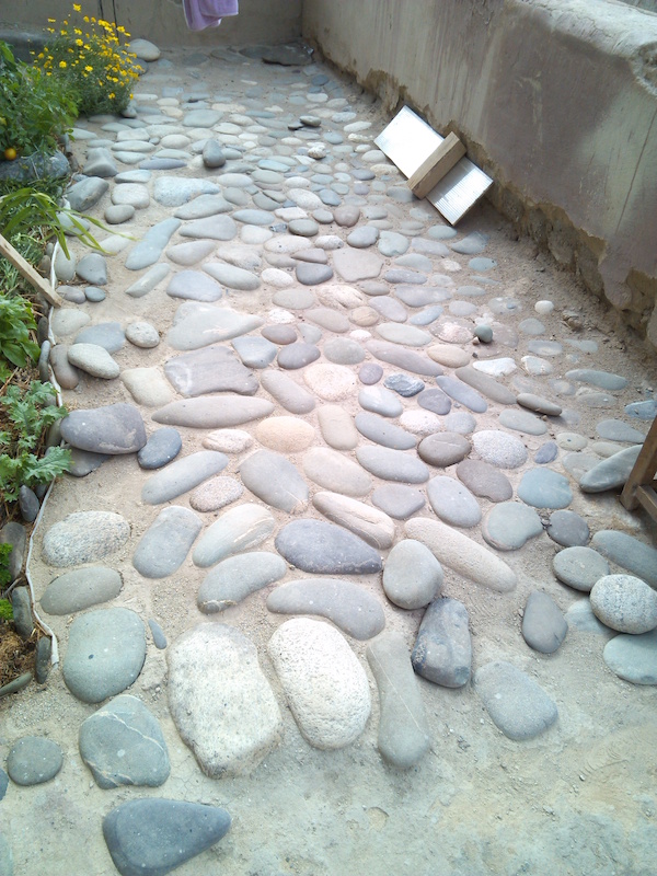 [Thumbnail for Stone-paving-in-my-greenhouse-2016Jul31.jpg]