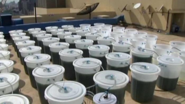 connected buckets