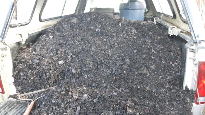 [Thumbnail for 20160606_104451.jpg]