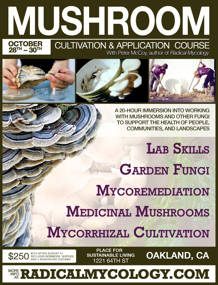 [Thumbnail for 2016-Mushroom-Cultivation-Course-oakland.jpg]