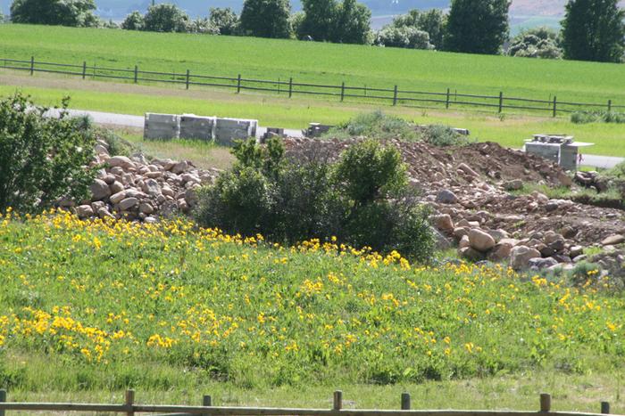 Creek cobble boulders for food forest