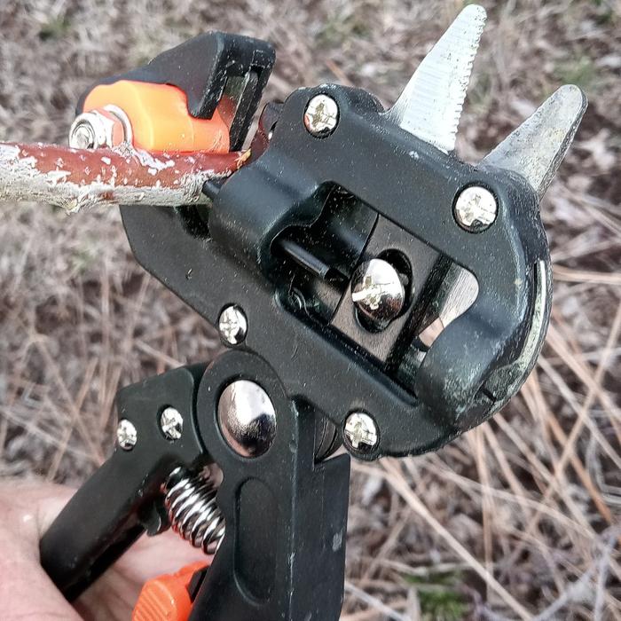 What a lovely grafting tool!