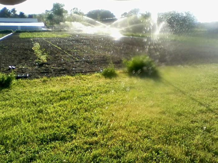 Irrigation with sprinkler line