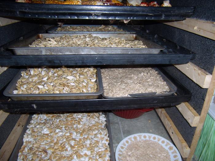 Drying squash seeds