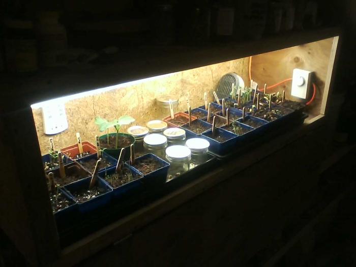 Germination chamber