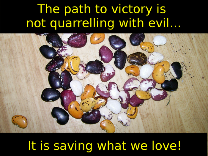 The path to victory is not quarrelling with evil... It is saving what we love!