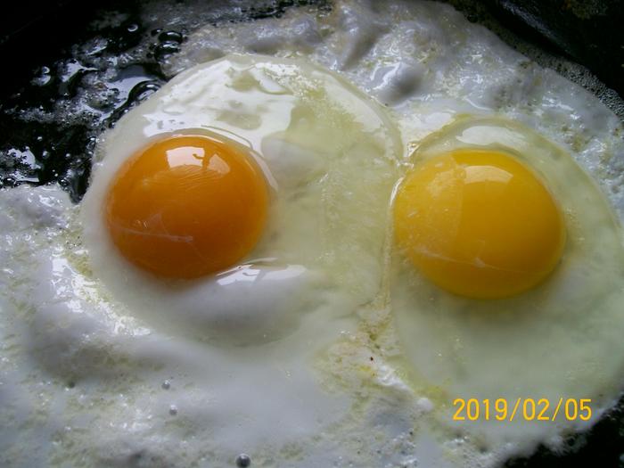 Comparing an egg from my flock (dark orange) to grocery store egg.