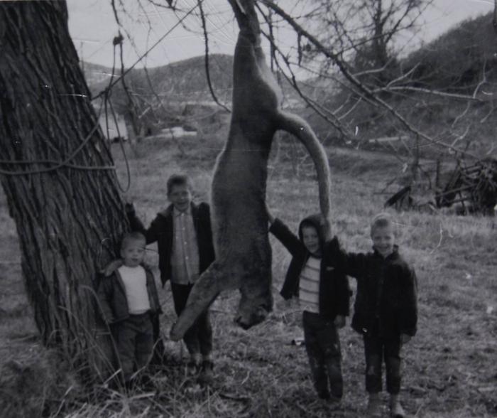 Taken in the yard of that same house some decades later. I am the oldest of the kids.