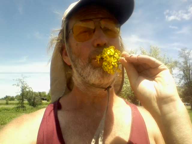 [Thumbnail for eating-mustard-flowers.jpg]