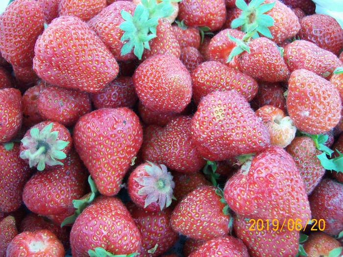 Strawberries