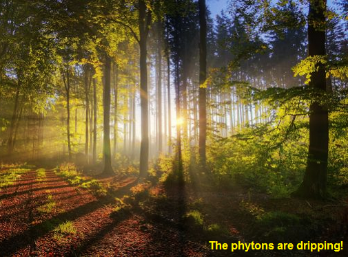 [Thumbnail for centerspace.png]