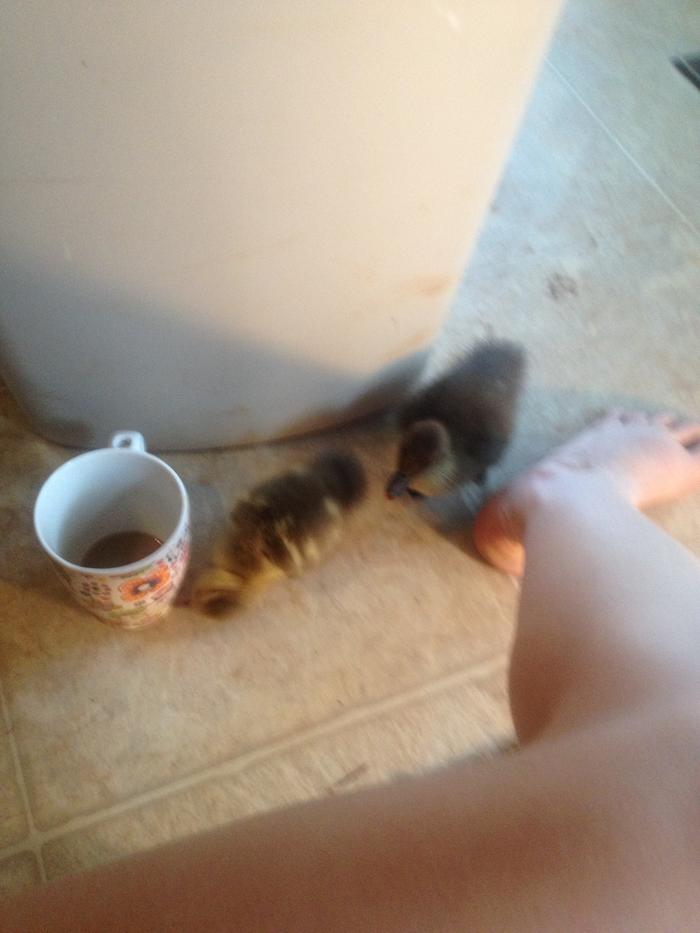 They wanted my drink
